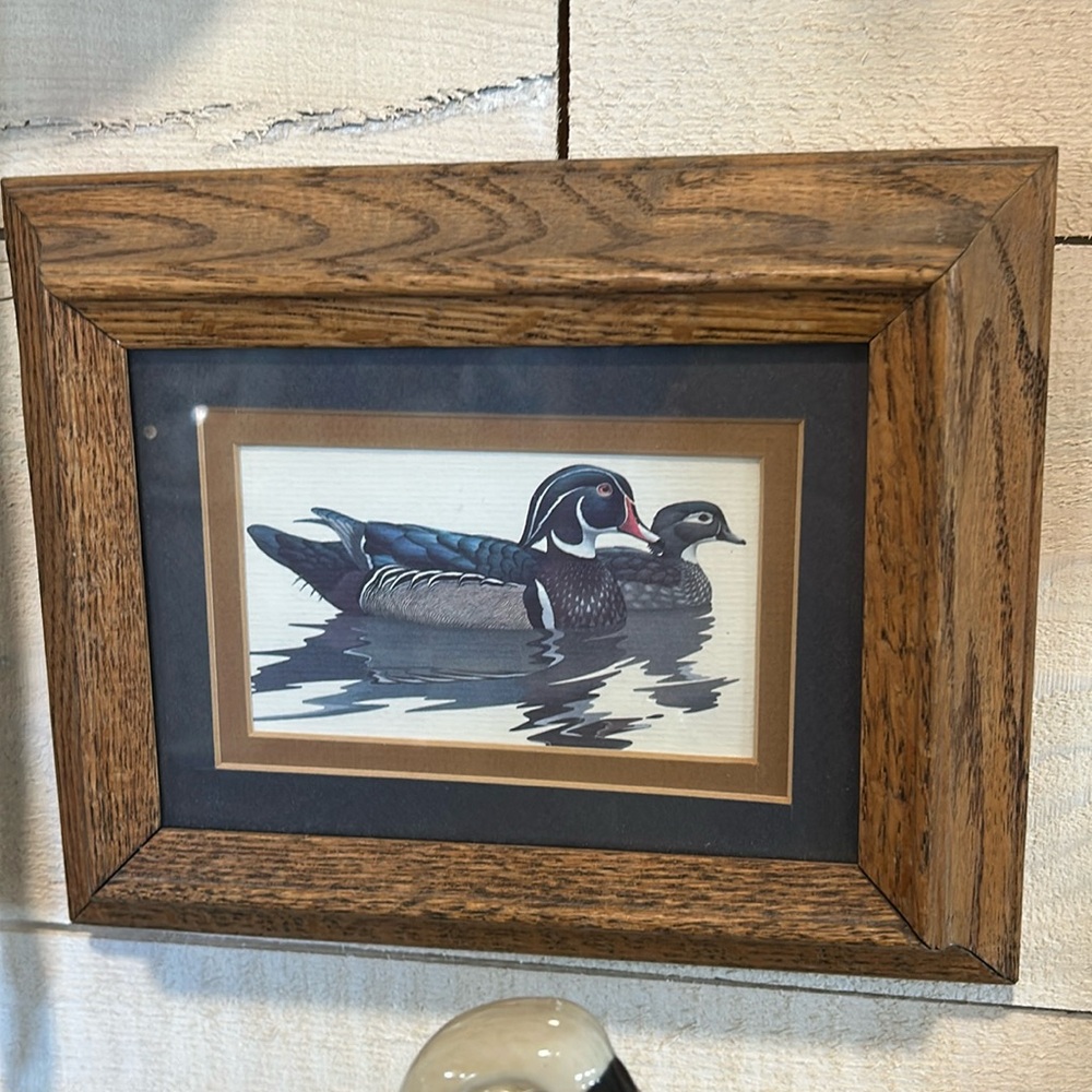Framed Duck art